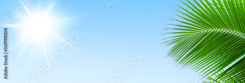 Palm tree leaf blue sky sun background frame, green palm branch corner border, tropical island sea beach banner, summer holidays template, vacation design, travel pattern, tourism backdrop, copy space