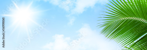 Palm tree leaf blue sky sun clouds background frame, green palm branch border, tropical island sea beach banner, summer holidays template, vacation design, travel pattern, tourism backdrop, copy space