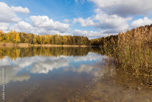 A pond in the forest, an autumn landscape, a calm water surface and a forest in autumn.