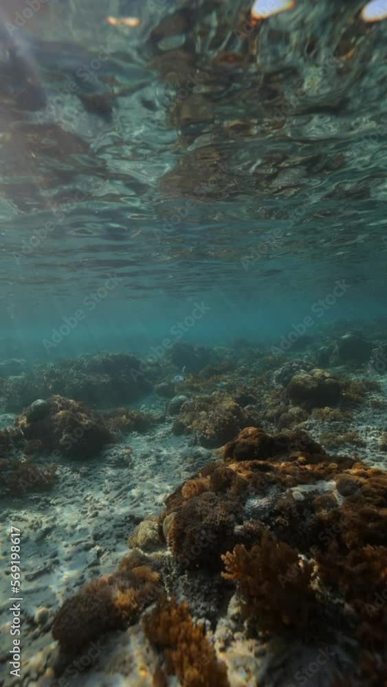 Slow Motion Shot Of Sunbeam Passing Through Waves On Ocean Floor With Corals - Lombok, Indonesia Slow Motion Shot Of Sunbeam Passing Through Waves On Ocean Floor With Corals - Lombok, Indonesia