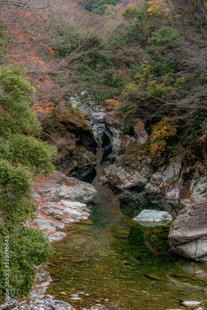 面河渓谷 面河渓谷