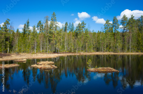 Nordic forest reflecting in calm water of Lilla Hyttjarnen lake in Malingsbo-Kloten Nature Reserve, noble fishing destination in Sweden