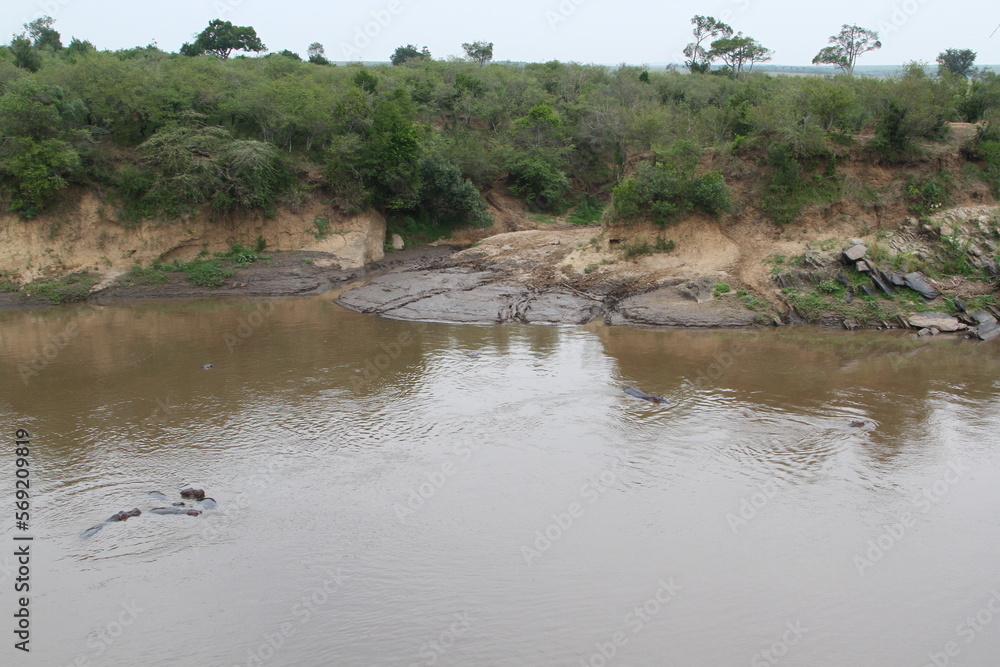 Fototapeta premium Mara river in Masai Mara National Reserve