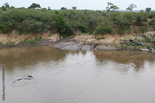 Mara river in Masai Mara National Reserve