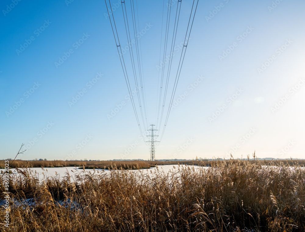 Obraz premium Winter landscape with frozen lake and row of power pylons 