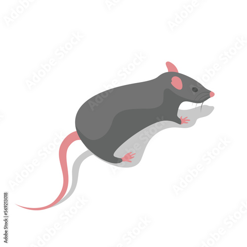 Runaway mouse, rear view close-up. Gray rodent isometric style. Vector illustration flat design. Isolated on white background.
