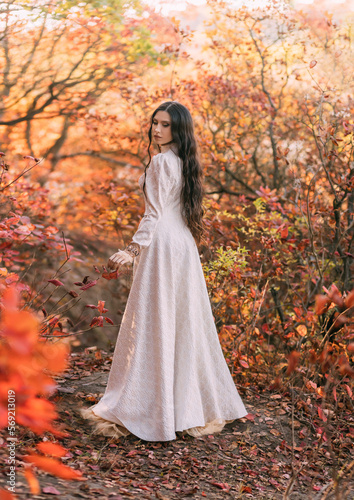 Mystery art portrait fantasy woman queen walking in gothic autumn forest, white vintage style dress. Girl princess long wavy hair sexy lady looks back rear view. Red orange yellow color dark tree park