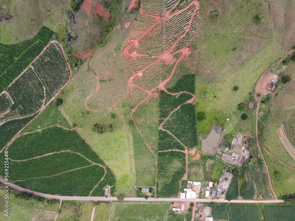 Fototapeta premium top view drone shot of a new and old coffee plantation