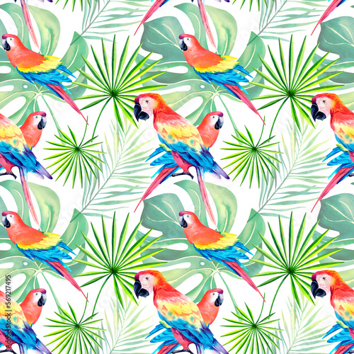 A pattern of macaws, monstera parrots. Tropical collage. Watercolor animals. Exotic birds. Yellow-green macaw parrot. Watercolor illustration. © Marina