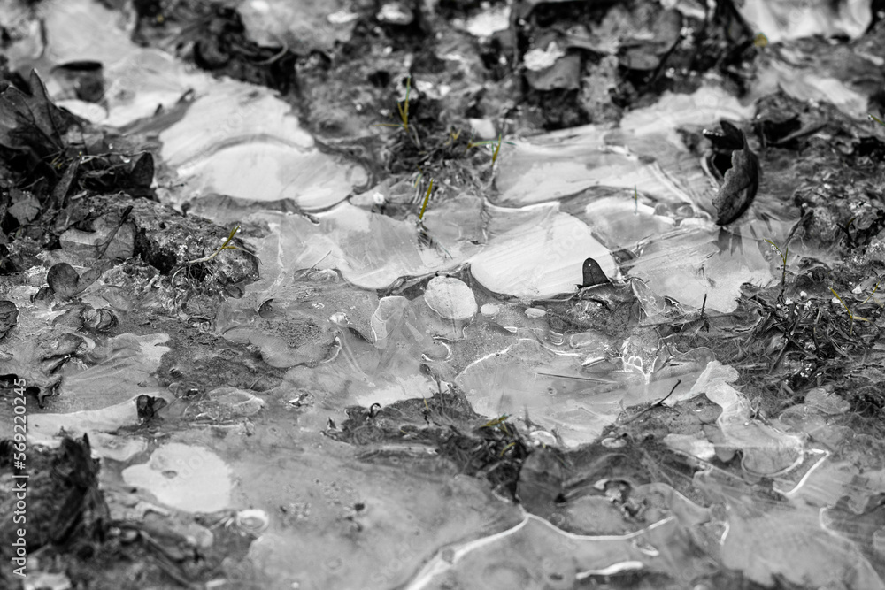 Aesthetic cracks in a frozen puddle of water in the woods Stock Photo ...