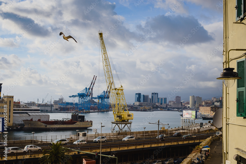Panoramic landscape of the port of Genoa, Italy. Ligurian Sea, Europe. Ships, yachts, cranes, bulk carriers.