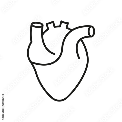 Human Heart Line Icon. Medical Cardiology Linear Symbol. Anatomy of Healthy Cardiovascular Organ Outline Icon. Cardiac Muscle Sign. Editable Stroke. Isolated Vector Illustration