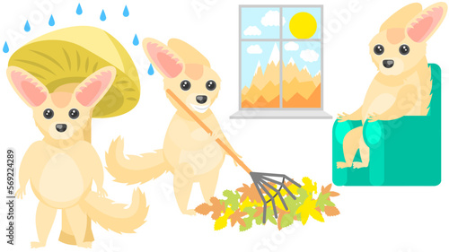 Set Abstract Collection Flat Cartoon Different Animal Fenech Hiding From The Rain Under A Mushroom  Picking Up Leaves With A Rake  Sitting And Looking Out The Window Vector Design Fauna Wildlife