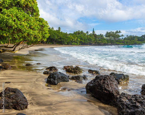 Coconut Palm Tree On The Sandy Shoreline of Homoa Beach, Hana, Maui, Hawaii, USA