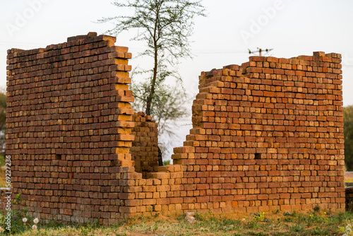 wall with tree