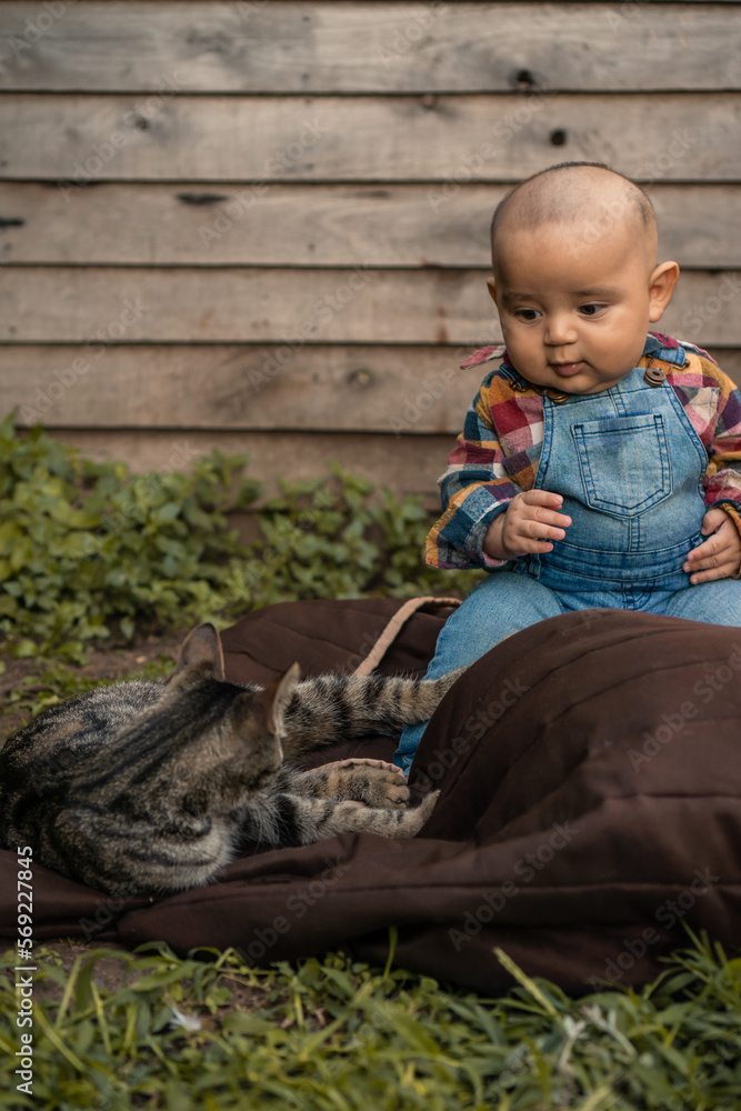 Naklejka premium beautiful 4 month old baby playing with a cat