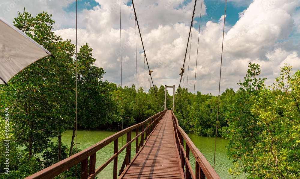 Obraz premium Thailand Chumphon National Park