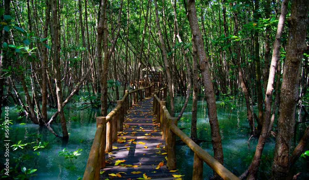 Obraz premium Thailand Chumphon National Park