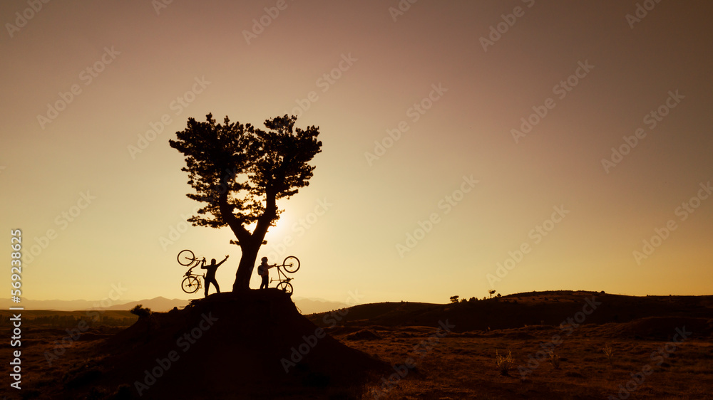 single tree in nature and successful cyclist couples