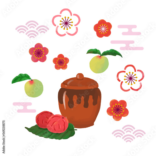 可愛くて美味しそうな梅干しのデザインセット（正方形）