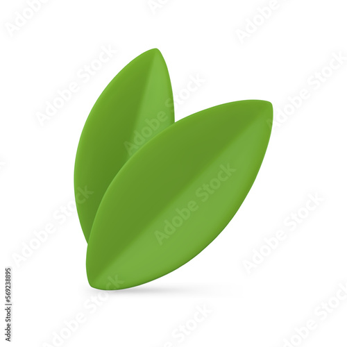 Two green leaves Easter decorative element summer plant organic nature foliage 3d icon vector