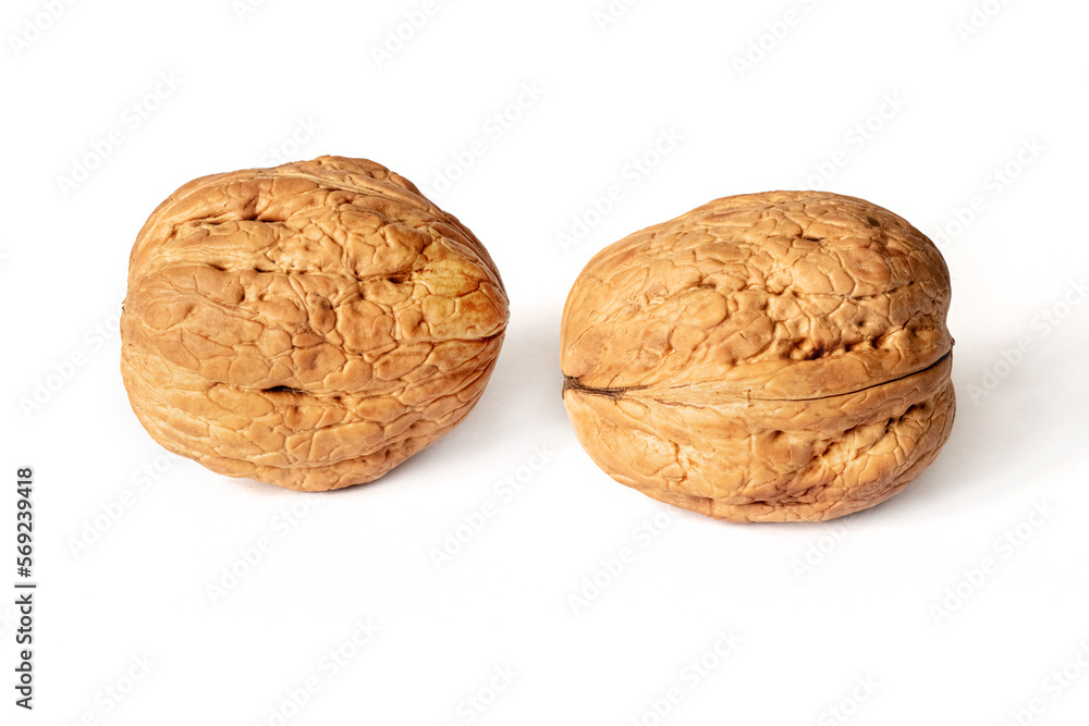 Walnuts in shell on white isolated background with shadow. Full depth of field Walnuts in shell on white isolated background with shadow. Full depth of field