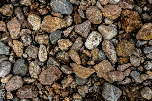 Brown and Gray Rocks Cover Trail