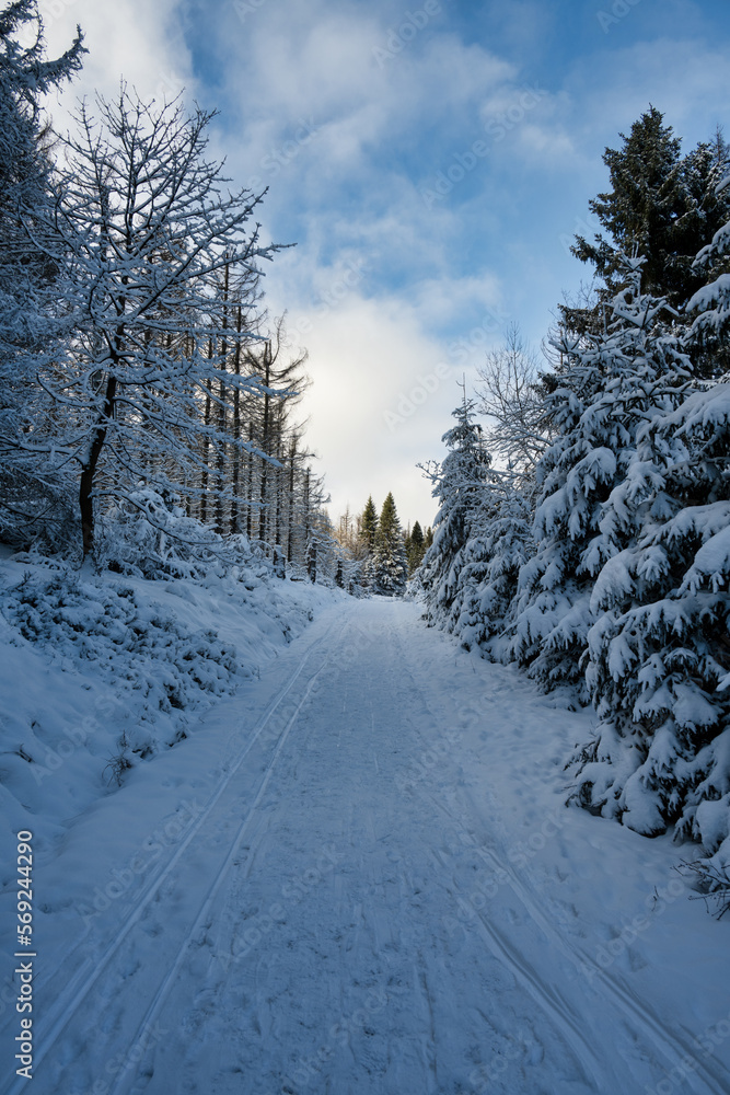 Obraz premium Winterlandschft im Nationalpark Harz