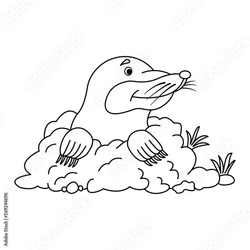 Cartoon cute mole for coloring page. Vector illustration of a mole in a hole