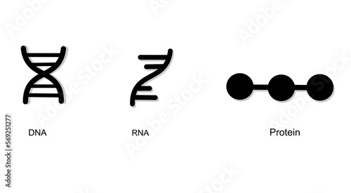 The molecular biology icon of DNA RNA and protein in black color concept for science content, poster, banner and other.