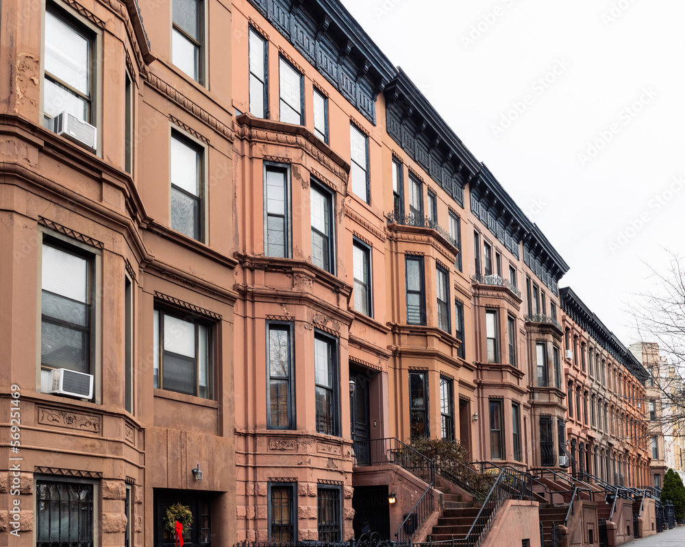 Fototapeta premium Brooklyn typical facades & row houses in an iconic neighborhood of Brooklyn. Park Slope, New York