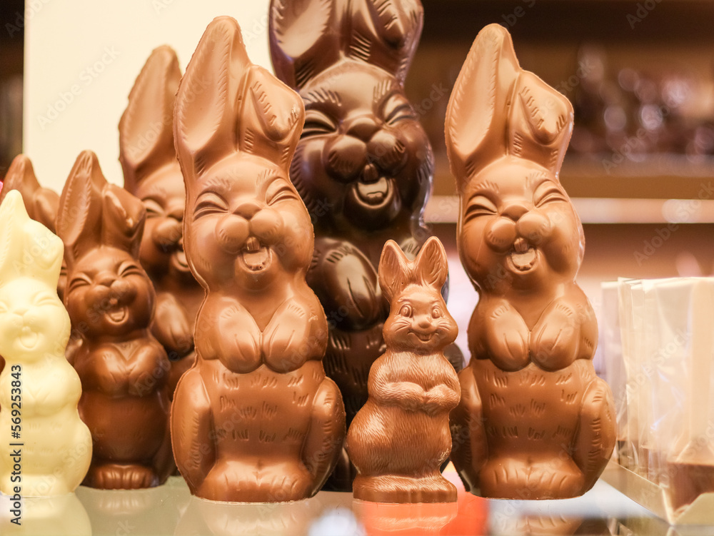 Naklejka premium Happy smiling school easter bunnies on a glass counter