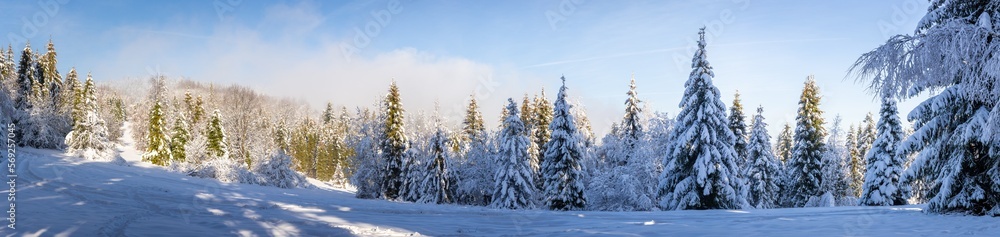 Beskid Mountains in winter, panorama of snowy mountain glade with coniferous forest covered with snow, Hala Slowianka, Poland. Beskid Mountains in winter, panorama of snowy mountain glade with coniferous forest covered with snow, Hala Slowianka, Poland.