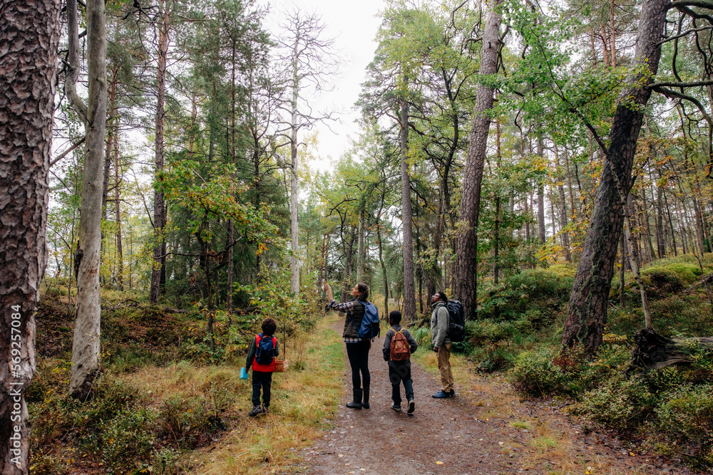 Parents showing trees to children while hiking in forest during vacation Parents showing trees to children while hiking in forest during vacation