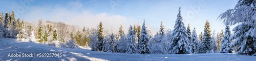 Beskid Mountains in winter, panorama of snowy mountain glade with coniferous forest covered with snow, Hala Slowianka, Poland.
