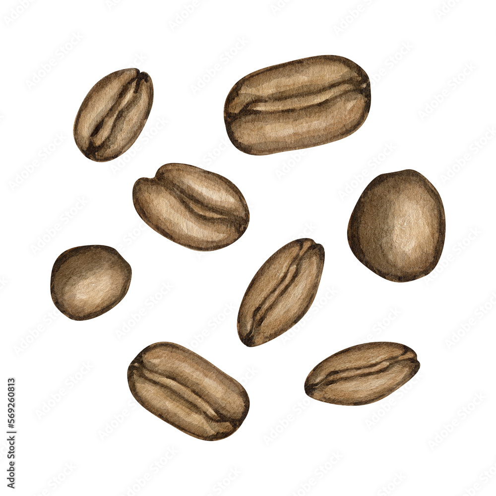 Obraz premium Watercolour coffee beans hand drawn illustrations