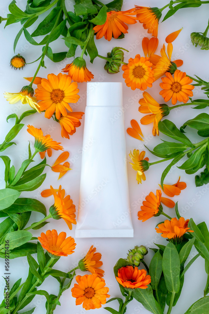 White plastic tube with face, hand and body cream and calendula,marigold flowers. Organic cosmetic concept, template. Flat lay,copy space. - obrazy, fototapety, plakaty 