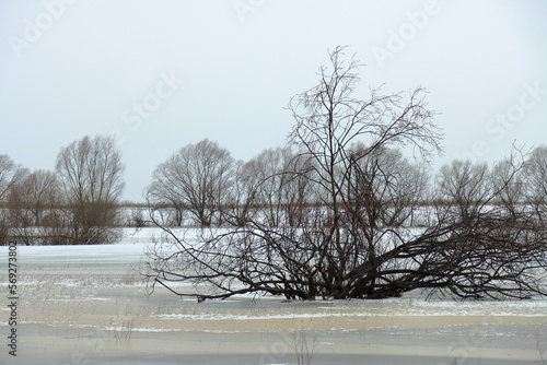 Wallpaper Mural Winter flood on the Staritsa River Torontodigital.ca