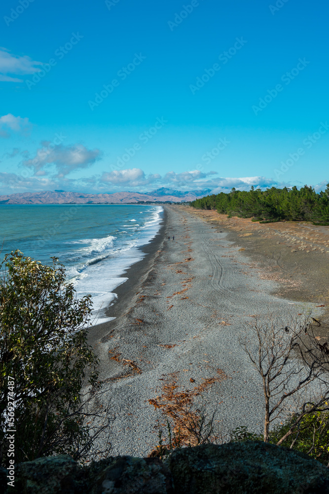 Einsamer und wilder Strand in Neuseeland mit Kies und Wald und blauem Himmel.