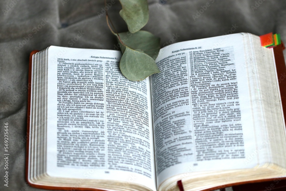 Otwarty tekst Ewangelii z listkami. Biblia i zachęta do czytania, studiowania Słowa Bożego - obrazy, fototapety, plakaty 