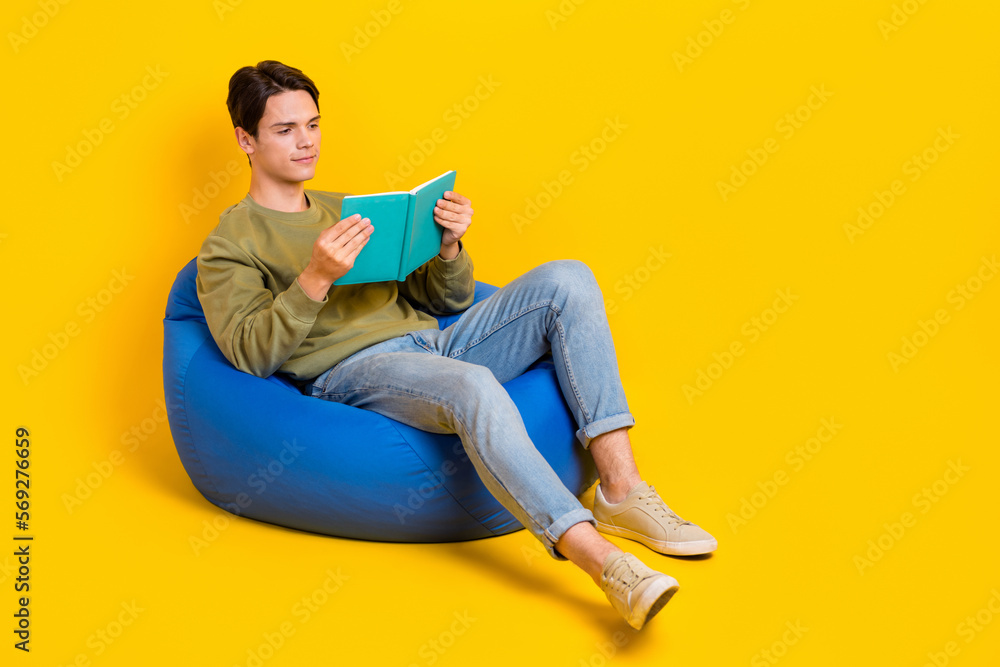 Full length portrait of intelligent peaceful person sit cozy bag read book isolated on yellow color background Full length portrait of intelligent peaceful person sit cozy bag read book isolated on yellow color background