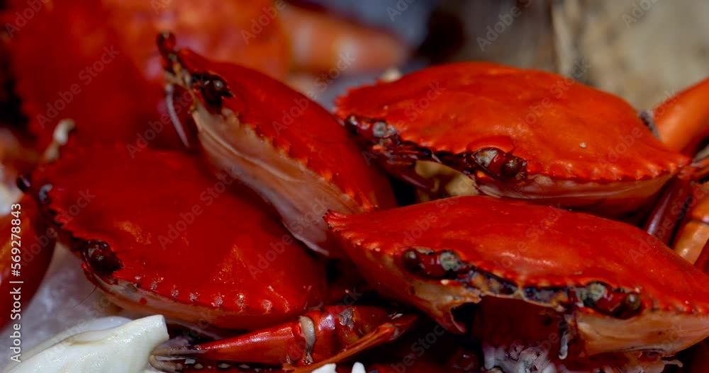 Fine dining buffet featuring cooked red crab in luxury restaurant Fine dining buffet featuring cooked red crab in luxury restaurant
