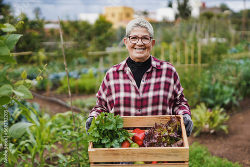 Senior woman holding fresh vegetables with garden in the background - Harvest and gardening concept