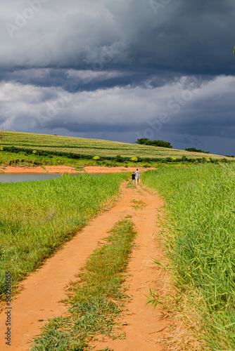 landscape with road