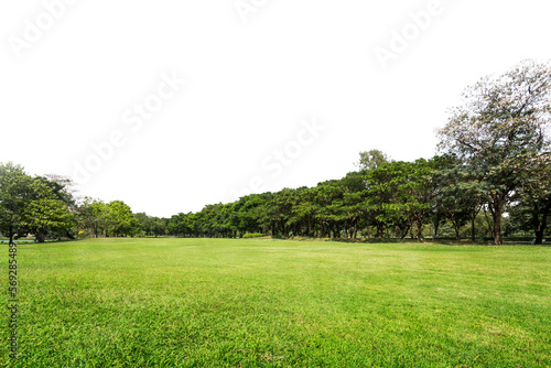 Green park, Transparent