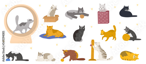 Vector cats. Set characters. Cute cat. Flat cartoon illustrations. Set characters. Cute cat. Vector illustration