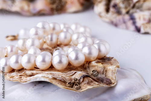 pearl beads on an oyster shell