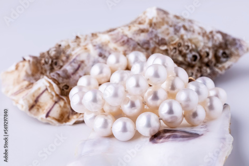 pearl beads on an oyster shell © sasha