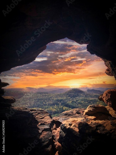 Capturing the beauty of the natural world