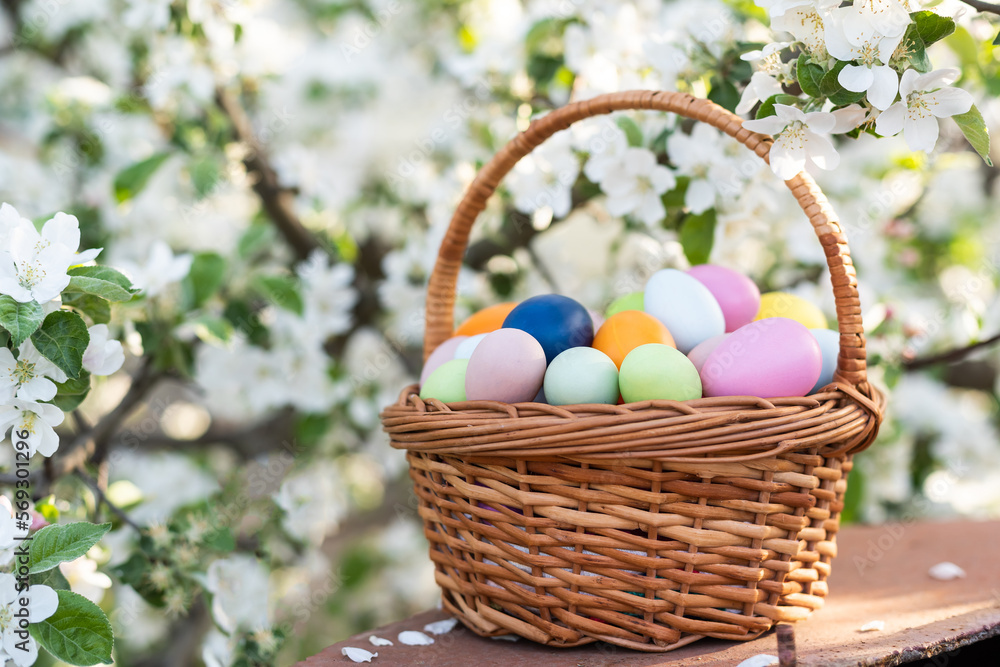 Happy Easter. Basket with Easter eggs in grass on a sunny spring day - Easter decoration, banner, panorama, background with copy space for text